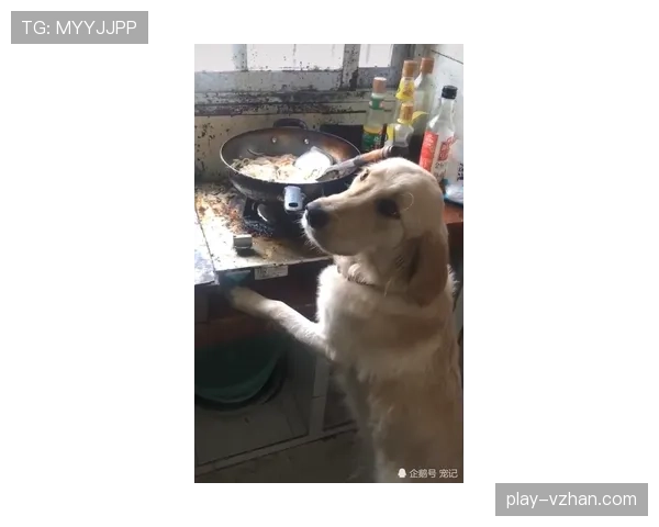 常园家的狗吃的都比我一个月工资多